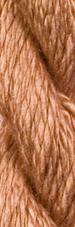 VS-English-Rose
