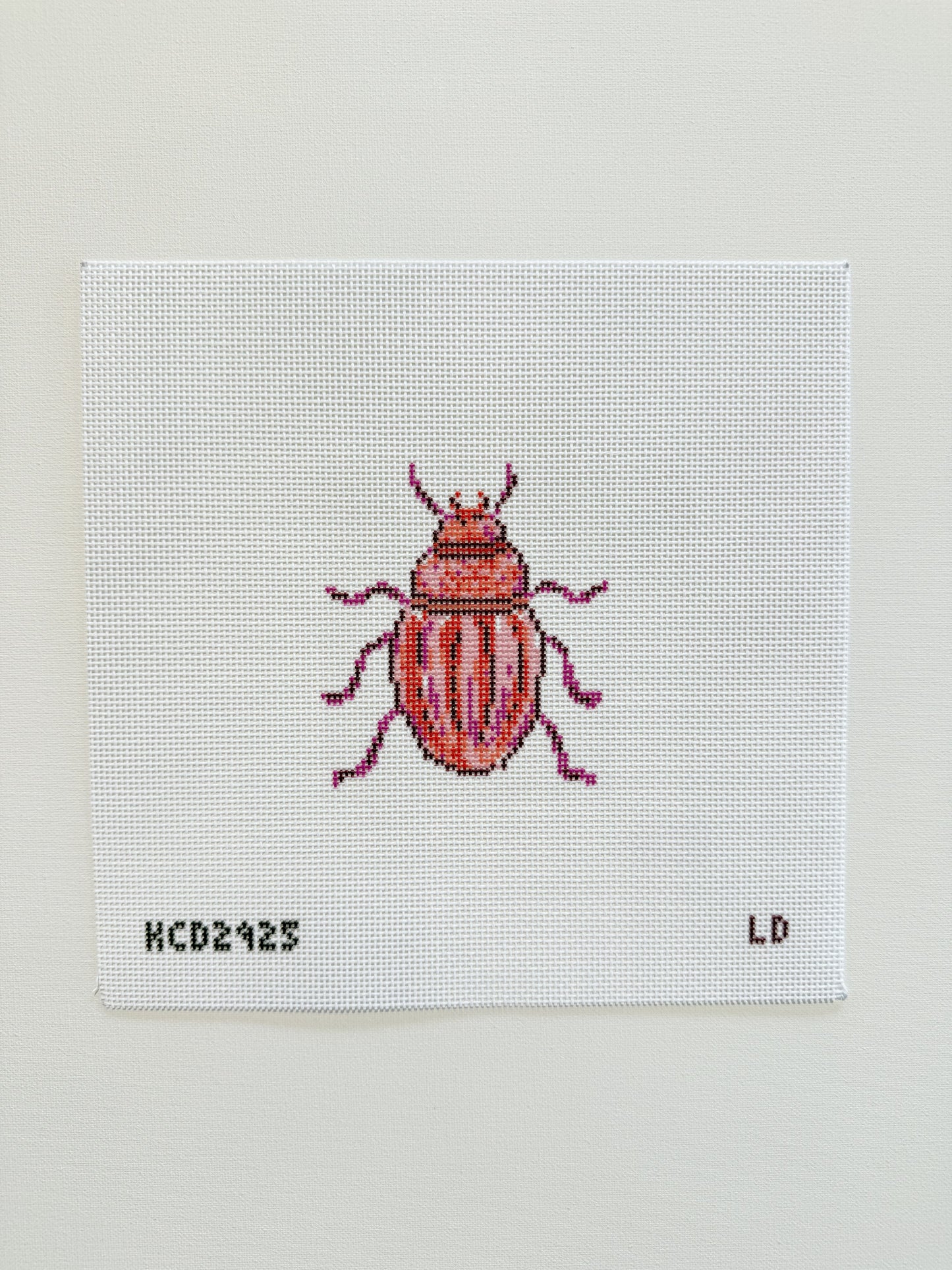 Pink Beetle