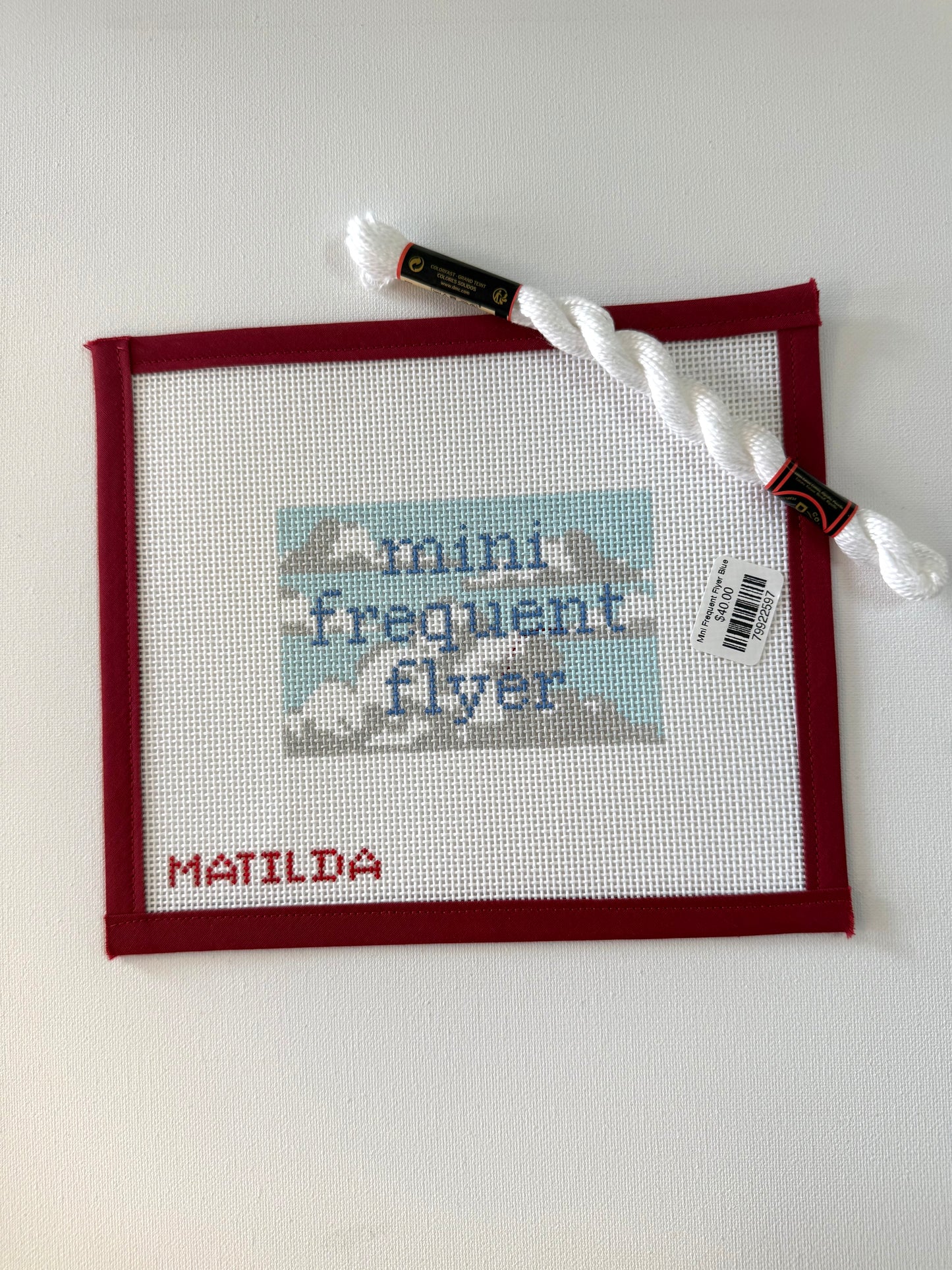 Mini Frequent Flyer Blue