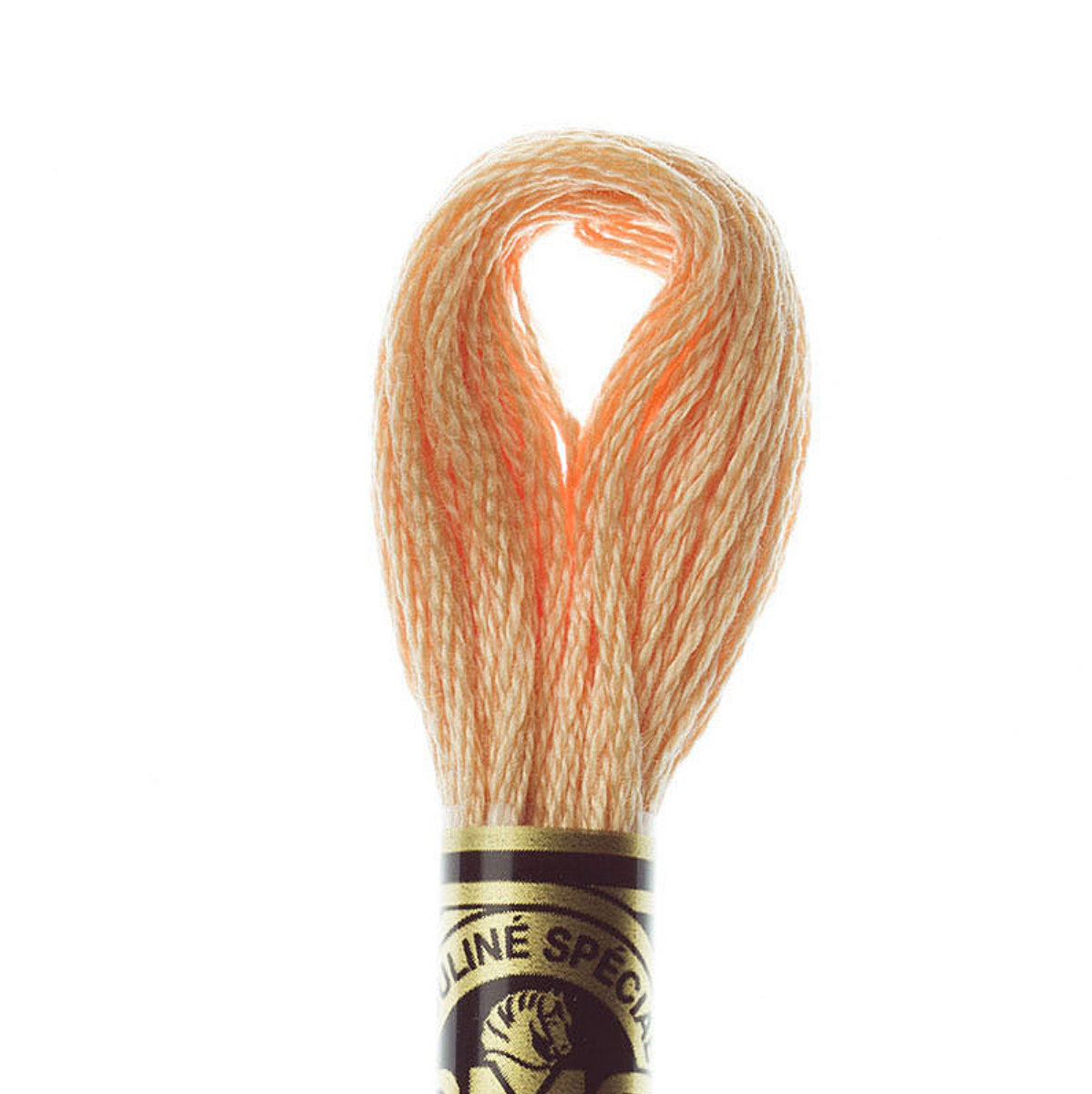 DMC Floss Color 3856 Ultra Very Light Mahogany