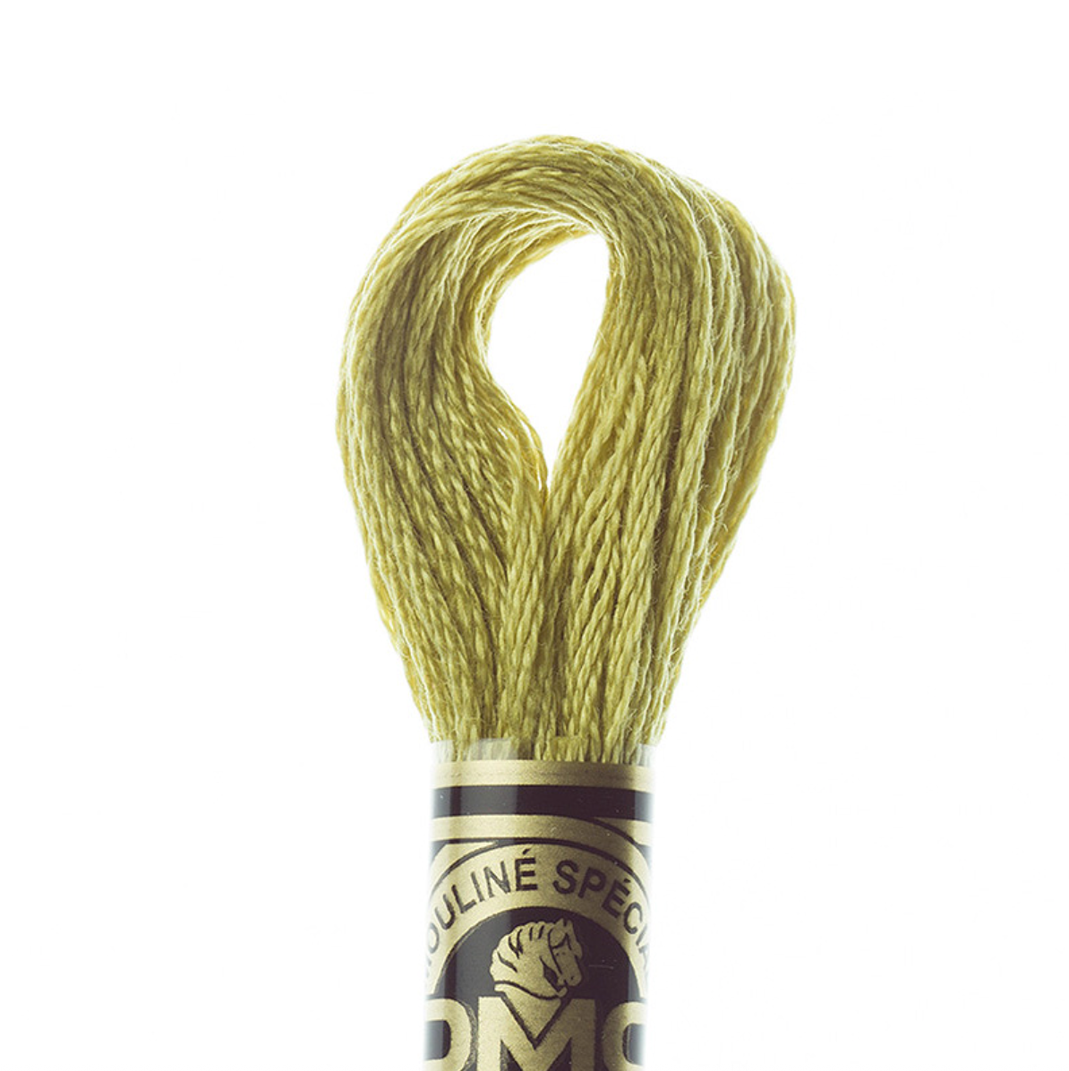DMC Floss Color 734 Light Olive Green