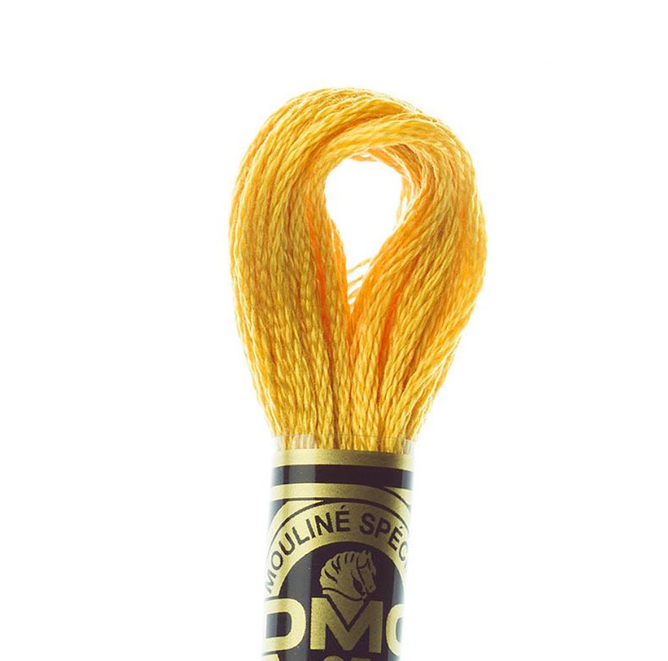 DMC Floss Color 728 Topaz