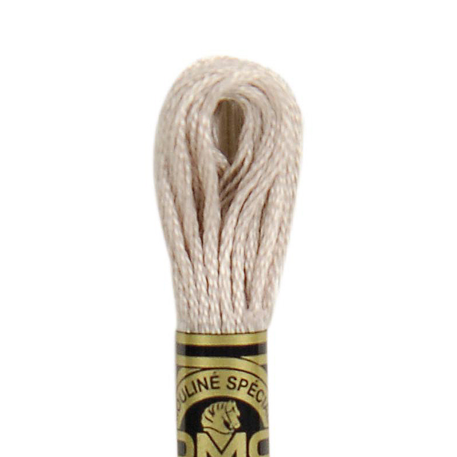 DMC Floss Color 06 Medium Light Driftwood