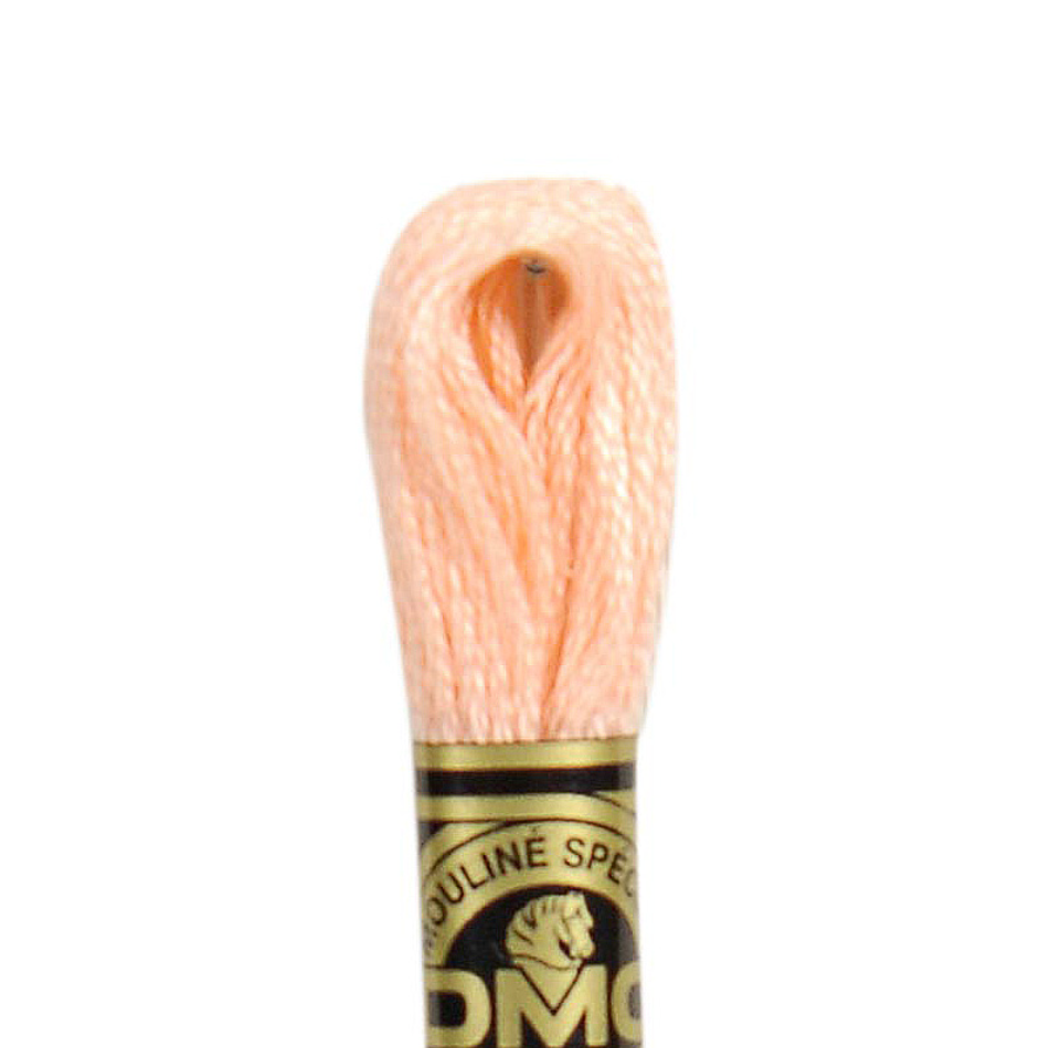 DMC Floss Color 20 Shrimp