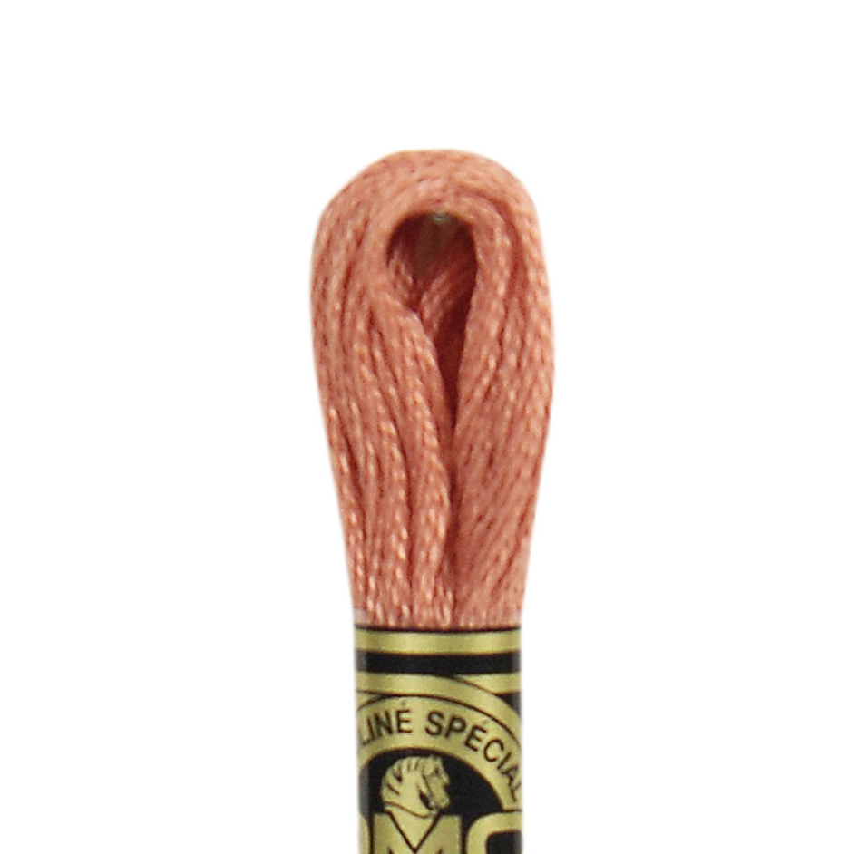 DMC Floss Color 21 Light Alizarin