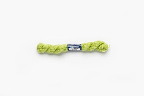 Planet Earth Wool - Fiddlehead
