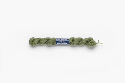 Planet Earth Wool - Chive