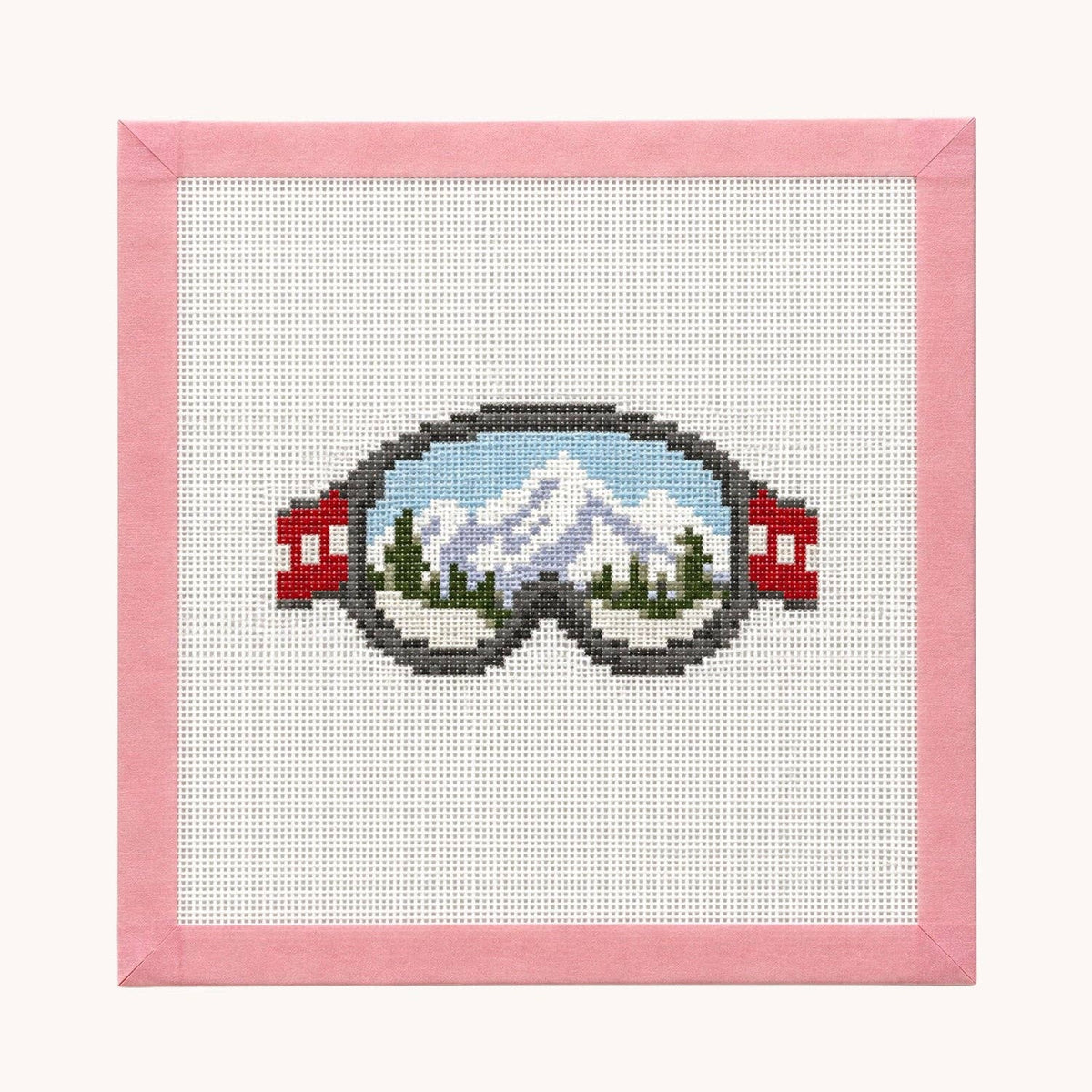 Ski Goggles
