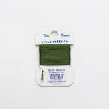 Essentials Cards - Crocodile