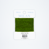 Milan Cards- Iguana