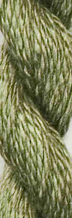 VS-Thyme