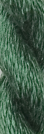 VS-Cactus
