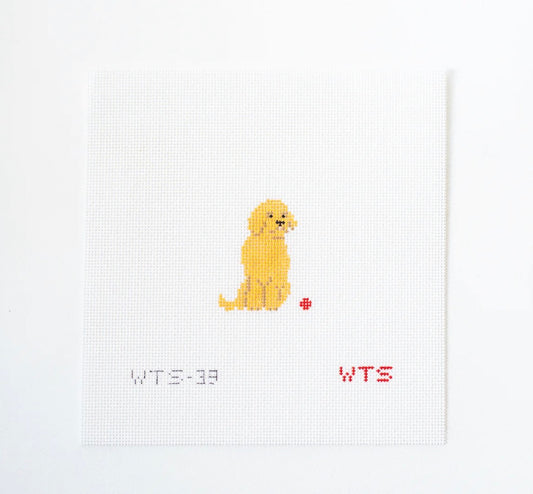 Mini Golden Retriver