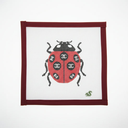 CC Ladybug