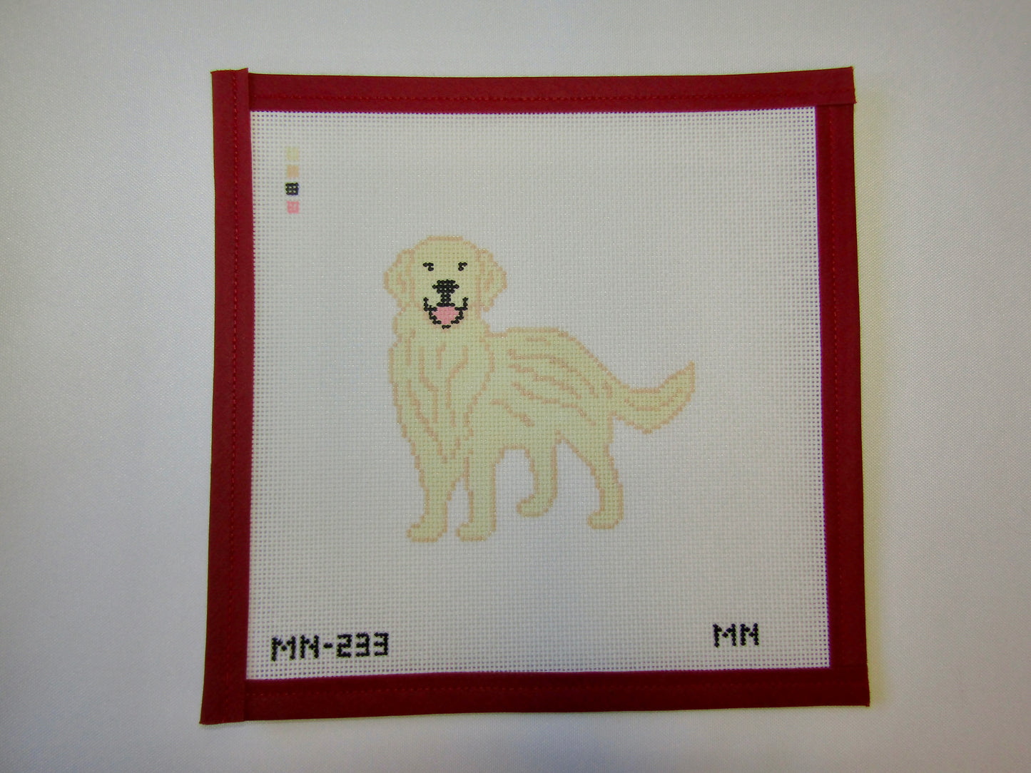 English Cream Golden Retriever