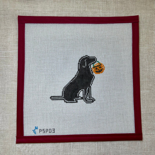 Halloween Dog