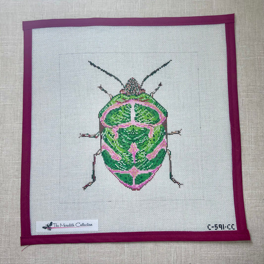 Little Bugs - Green & Pink
