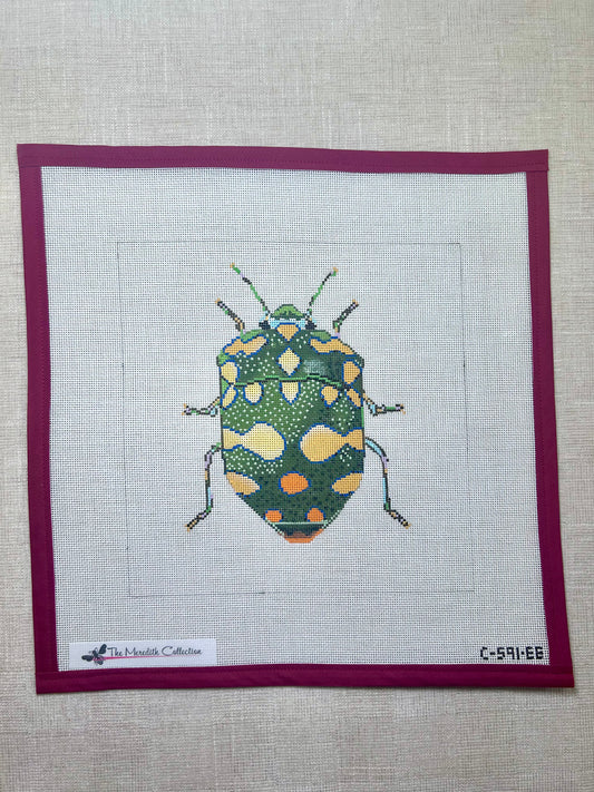 Little Bugs - Green & Yellow