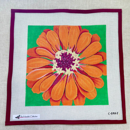 Dark Orange Zinnia on Green Background