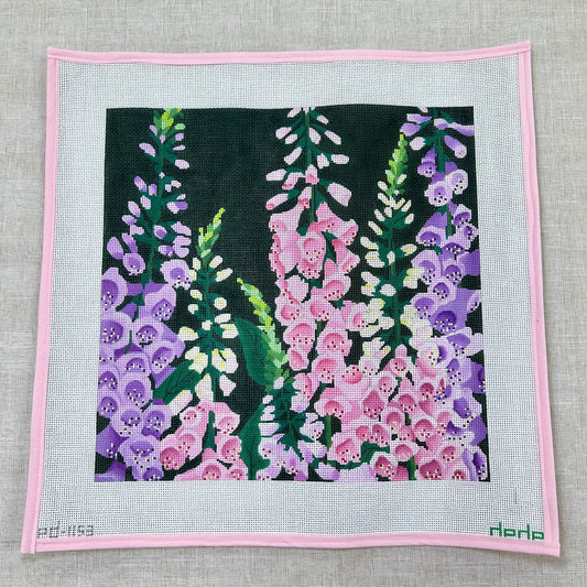 Giant Foxglove