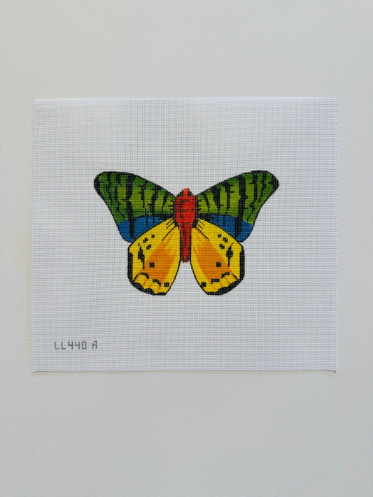 Multi Color Butterfly