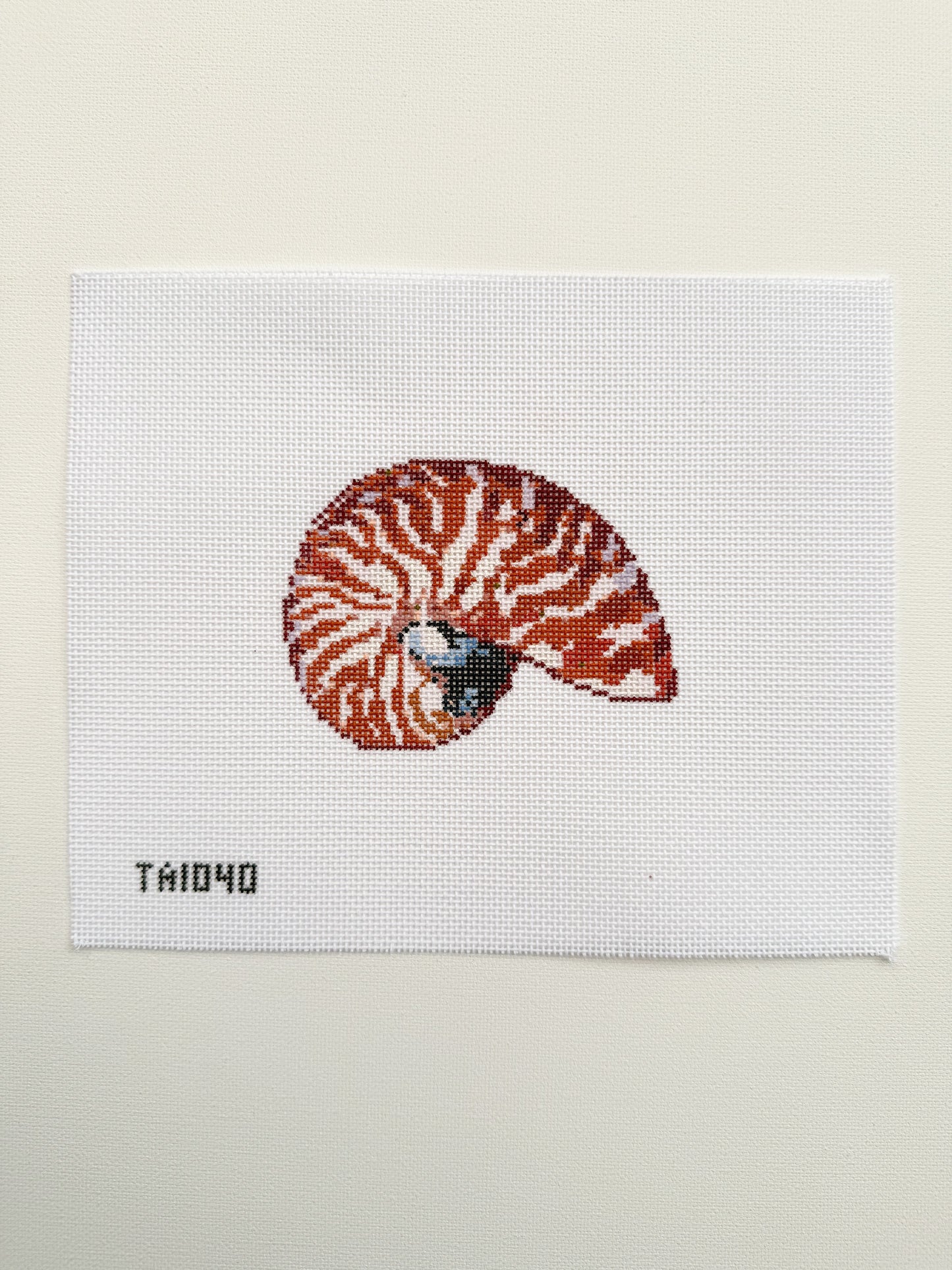 mini nautilus - terracota