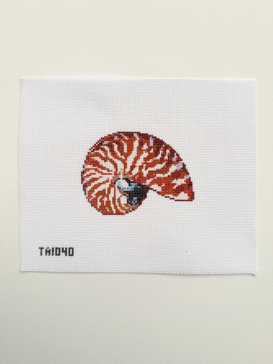 mini nautilus - terracota