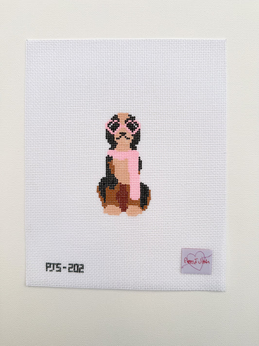 Mini fab pup, bernese