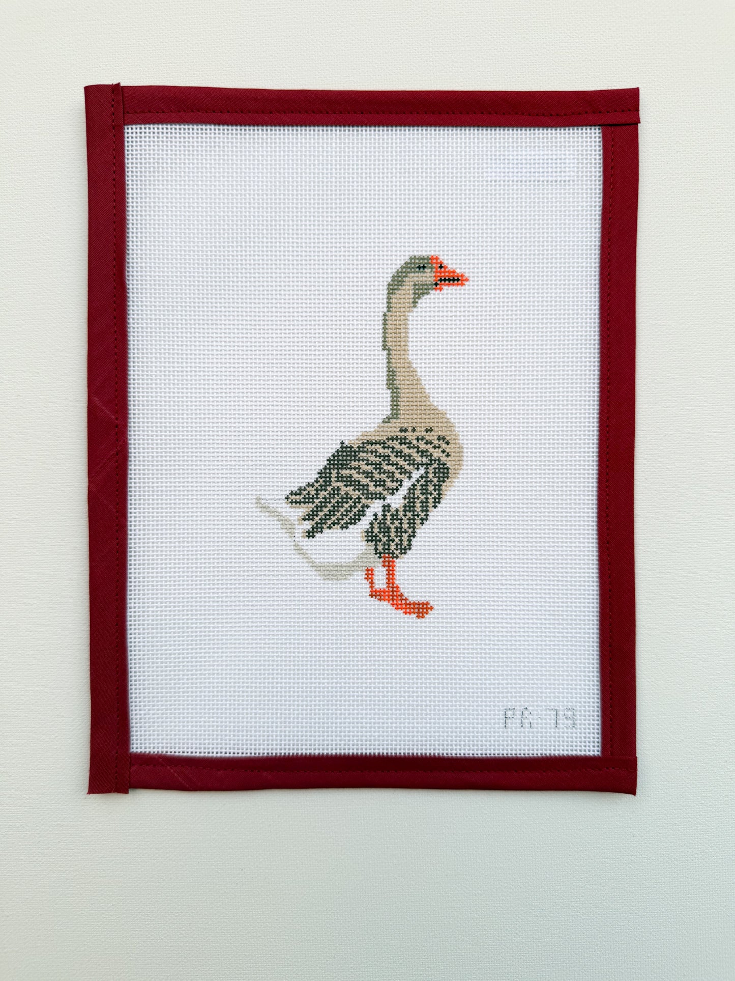 Toulouse Goose