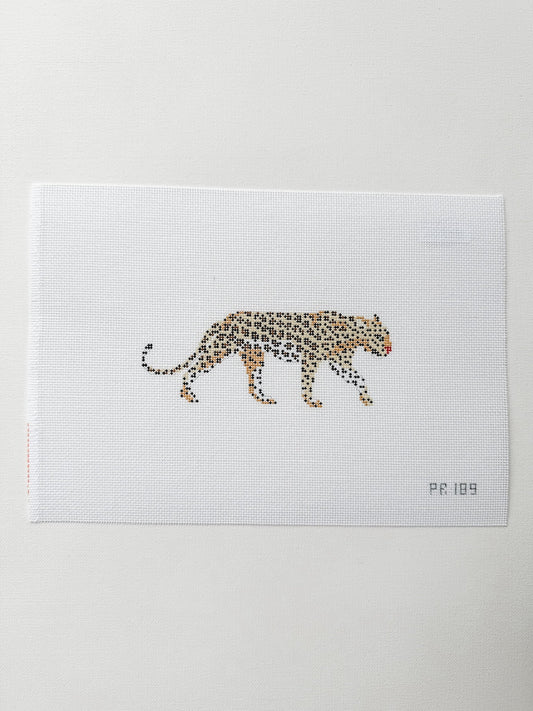 African Leopard