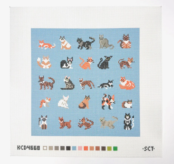 Blue Cat Square