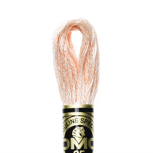 DMC Floss Color 948 Very Light Peach