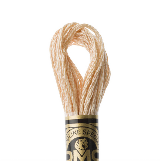 DMC Floss Color 945 Tawny