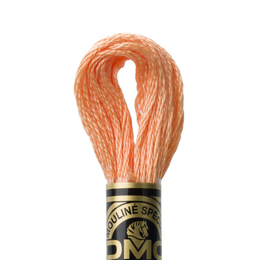 DMC Floss Color 3825 Pale Pumpkin