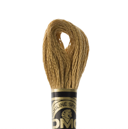 DMC Floss Color 3828 Hazelnut Brown