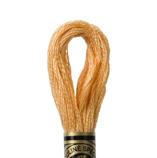 DMC Floss Color 3827 Pale Golden Brown