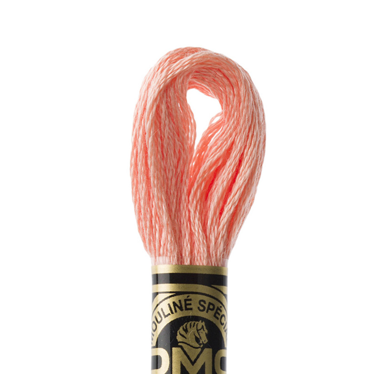 DMC Floss Color 3824 Light Apricot