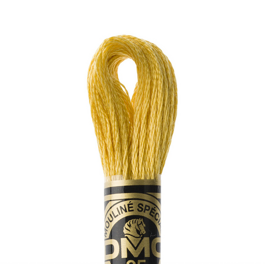 DMC Floss Color 3821 Straw