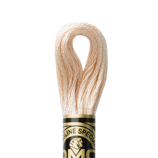 DMC Floss Color 3774 Very Light Desert Sand
