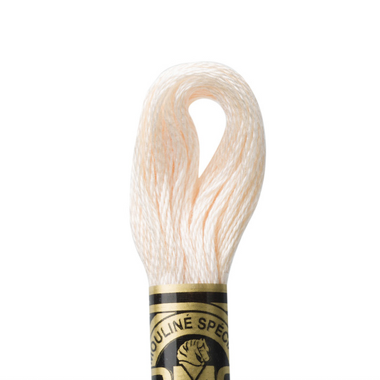 DMC Floss Color 3770 Very Light Tawny