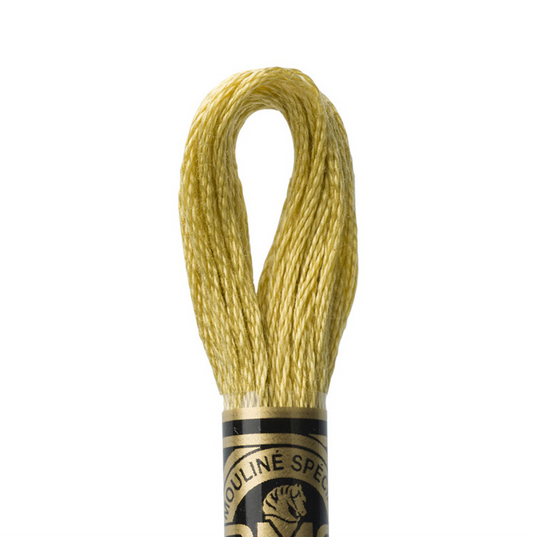 DMC Floss Color 834 Very Light Golden Olive