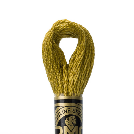 DMC Floss Color 832 Golden Olive