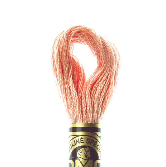 DMC Floss Color 758 Very Light Terra Cotta