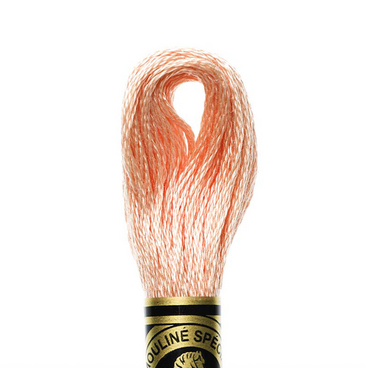 DMC Floss Color 754 Light Peach