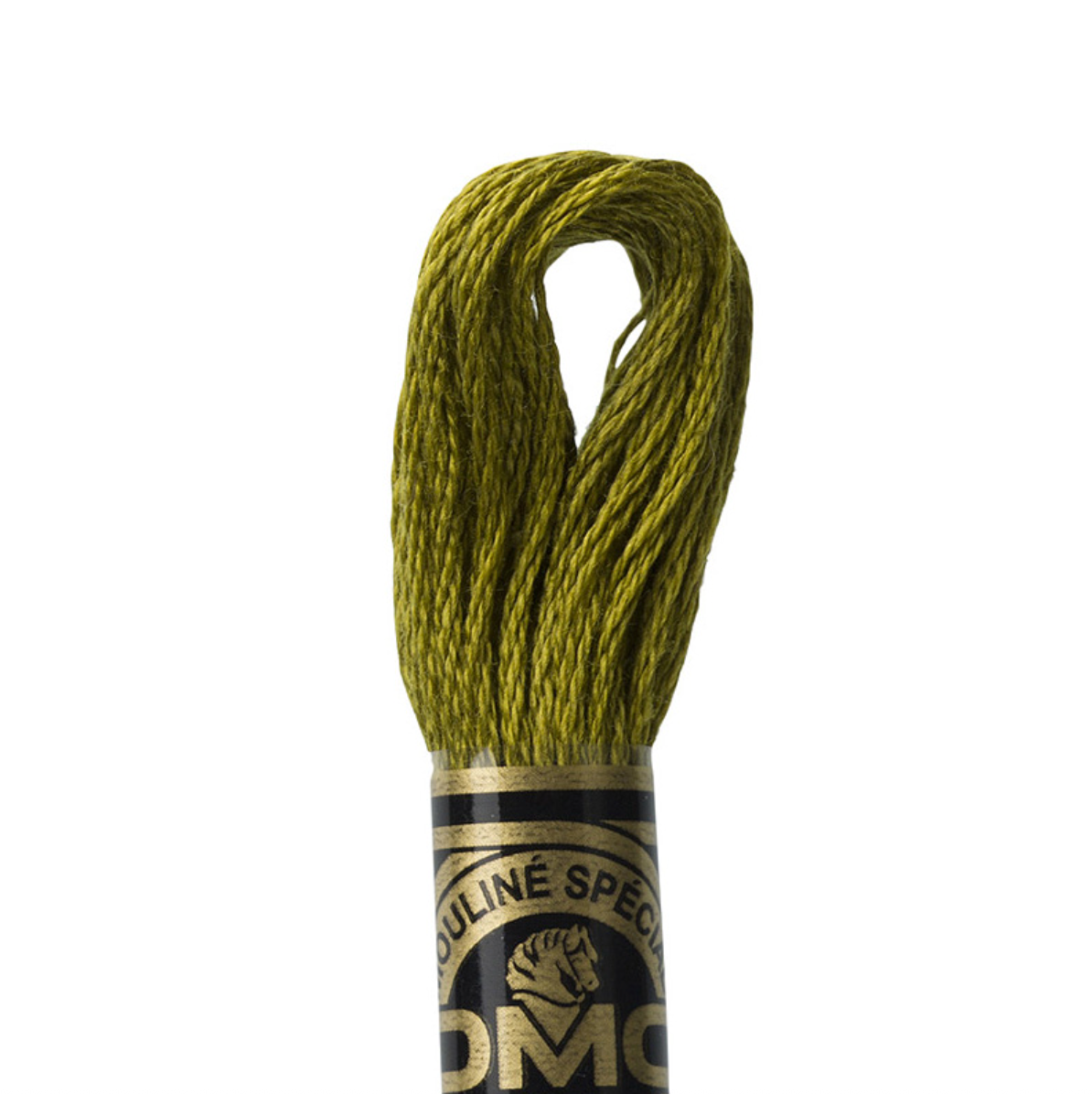 DMC Floss Color 731 Dark Olive Green