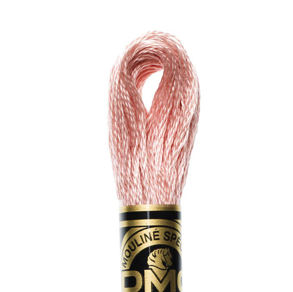 DMC Floss Color 224 Very Light Shell Pink