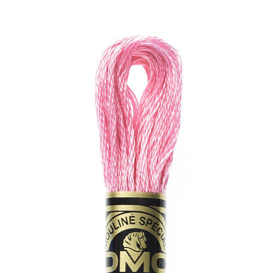 DMC Floss Color 604 Light Cranberry
