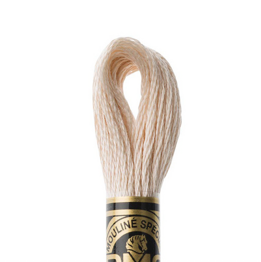 DMC Floss Color 543 Ultra Light Beige Brown