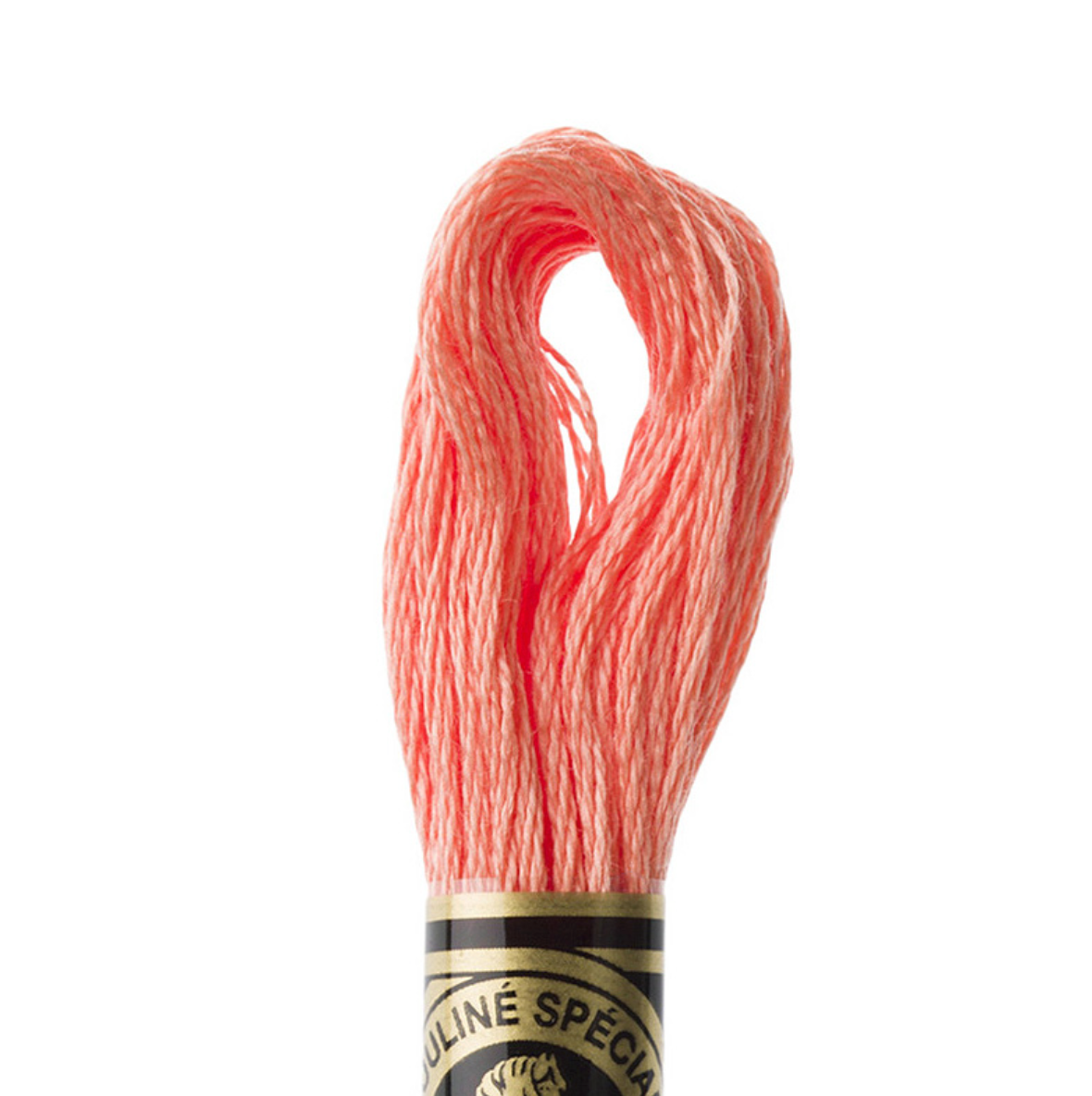 DMC Floss Color 3341 Apricot