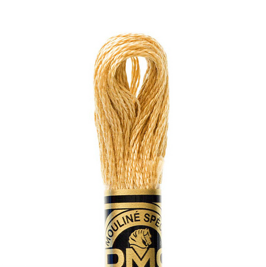DMC Floss Color 422 Light Hazelnut Brown